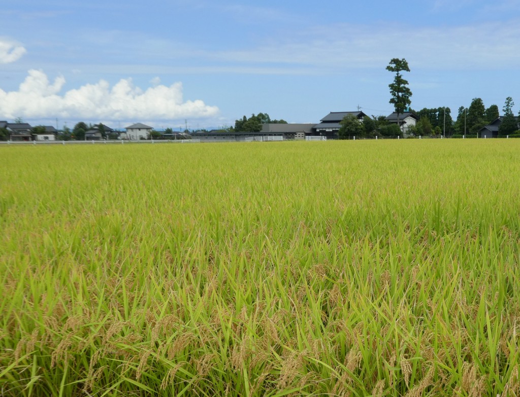 富山県 農林水産部 農業経営課 